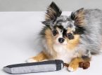 Square Enix hat ein Buster-Schwert für euren Hund entwickelt