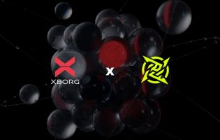 Ninjas in Pyjamas kooperiert mit Web3-Firma XBorg