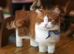 Mojang will eure Katzenbilder für offiziellen Minecraft-Cat-Skin
