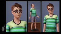Designer werden in Sims 3