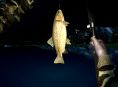 Ultimate Fishing Simulator angelt nächste Woche auf Xbox One