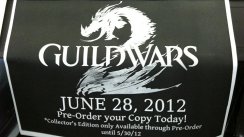 Guild Wars 2 bereits im Juni?