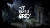 The Night is Grey - Teaser